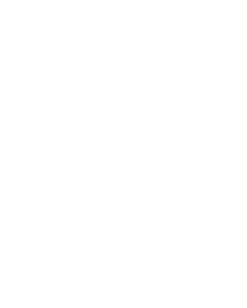 Aminoacidos-icon